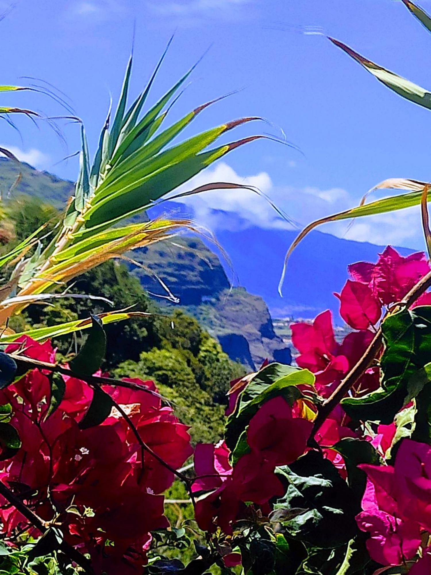 Bluegreen Arco da Calheta  Esterno foto